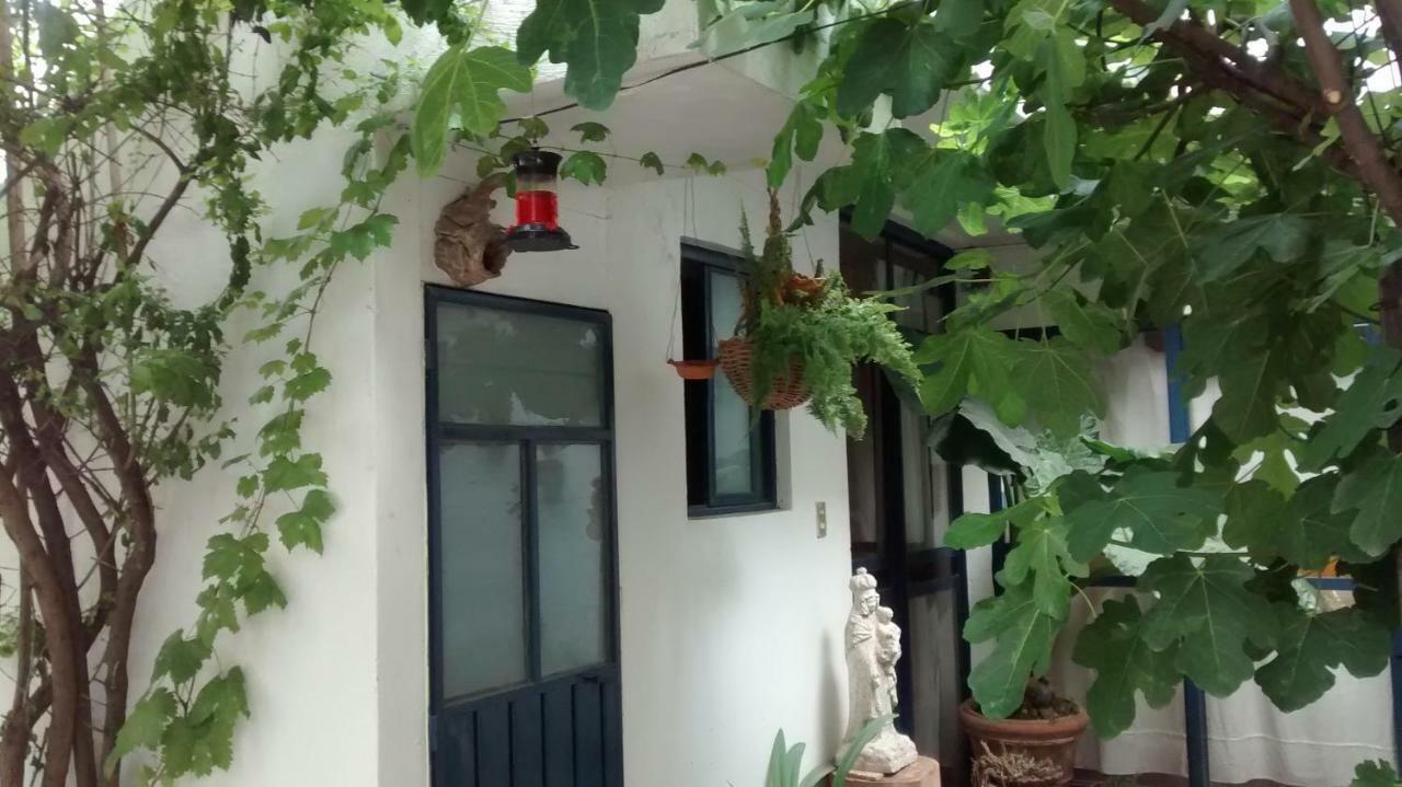 Hostal El Cascabel Cholula Eksteriør billede