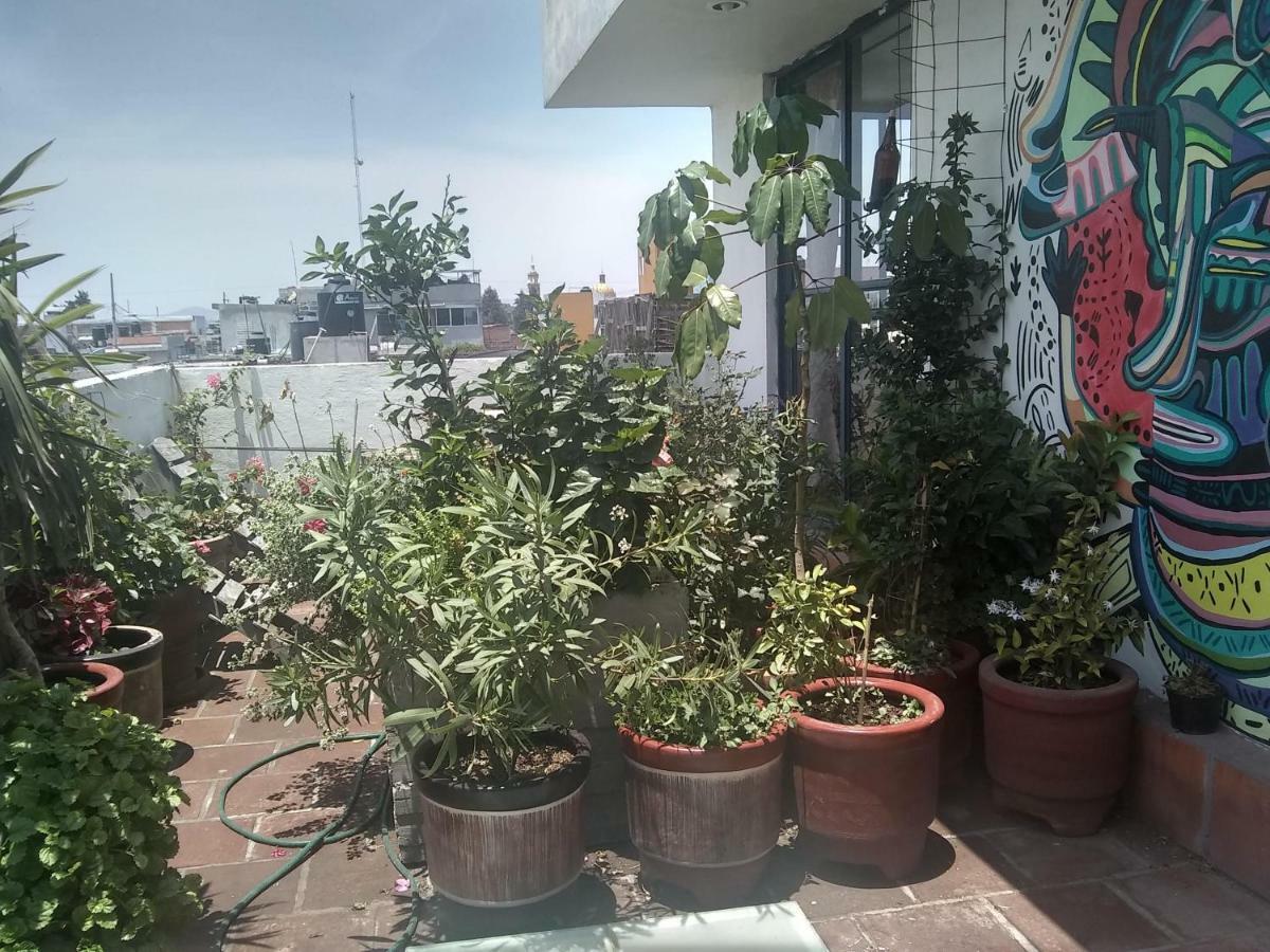 Hostal El Cascabel Cholula Eksteriør billede