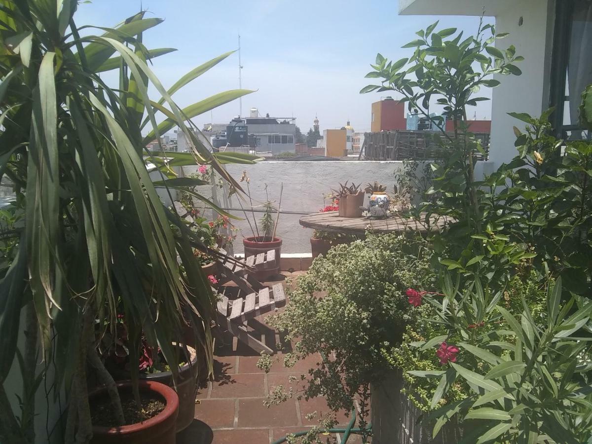 Hostal El Cascabel Cholula Eksteriør billede
